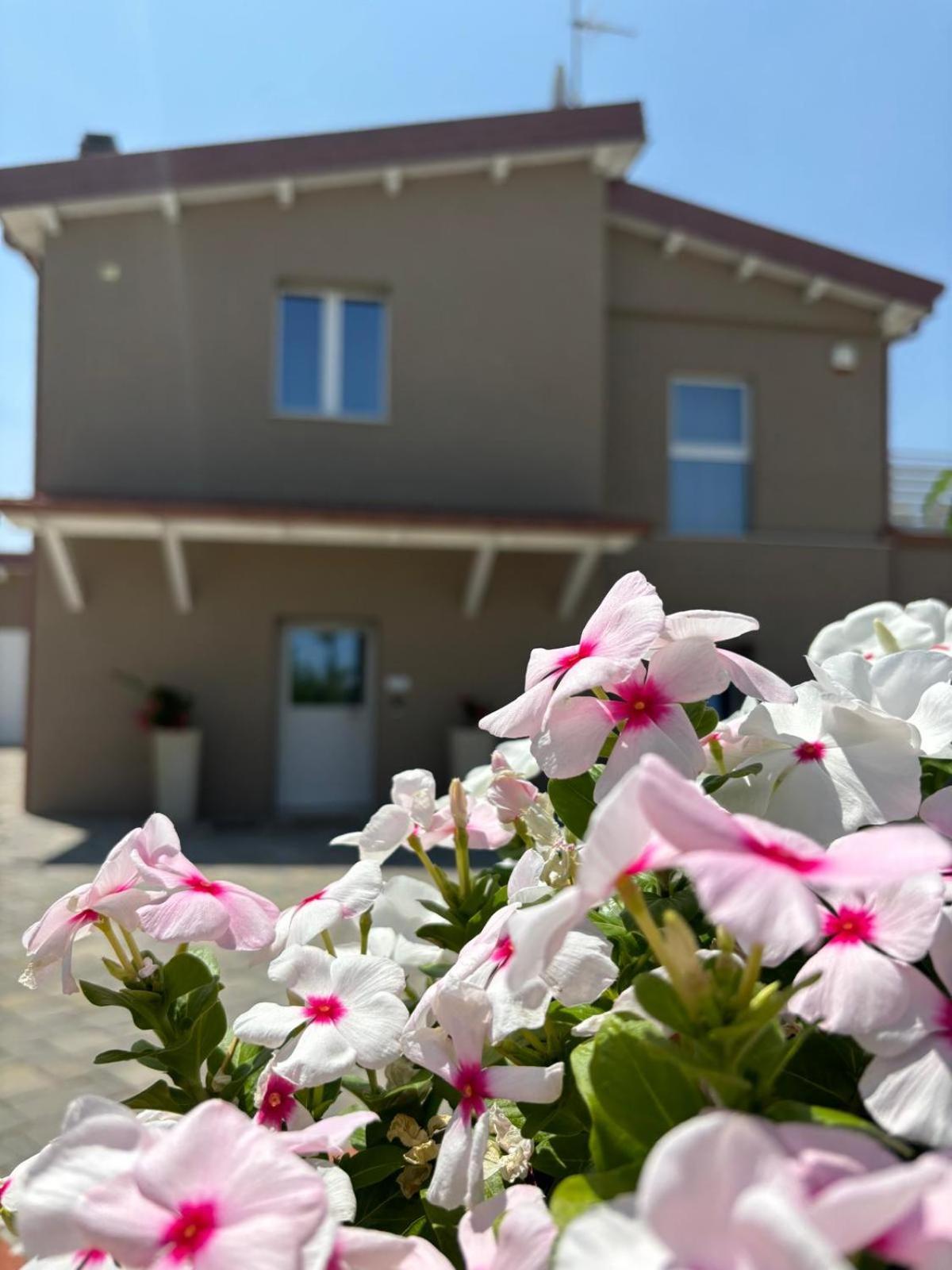 מלפי Masseria Spinale Wine Resort מראה חיצוני תמונה