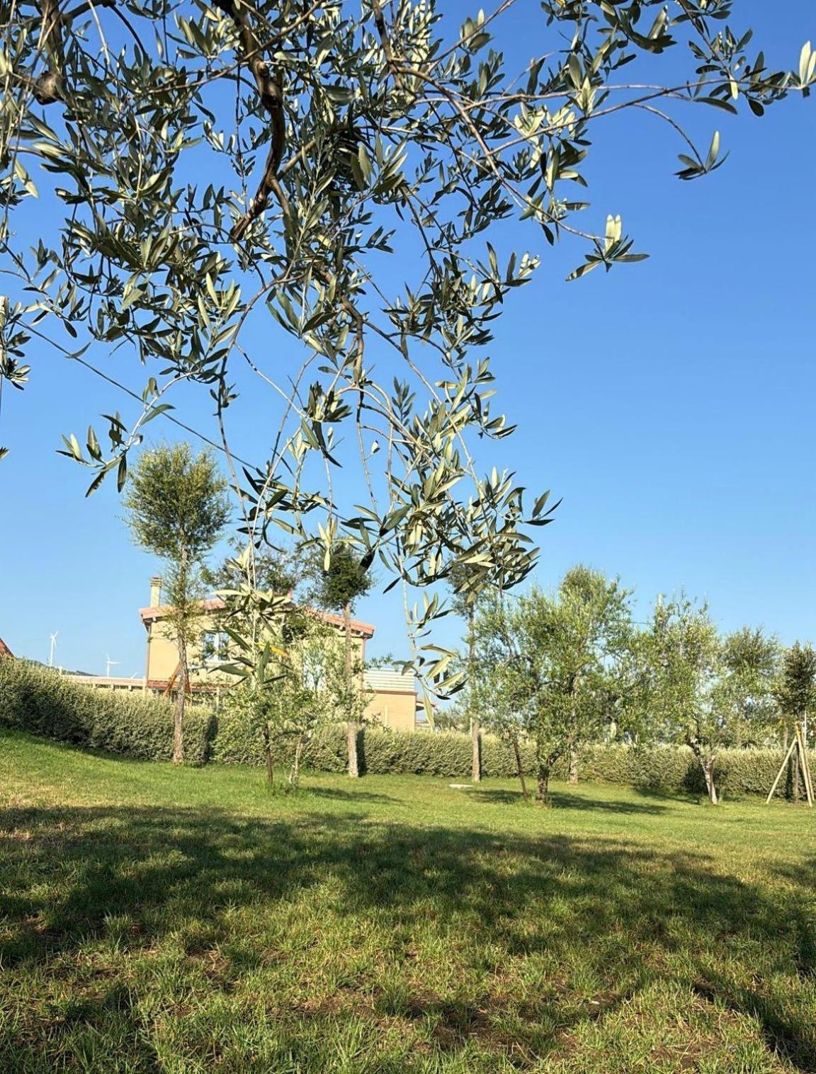 מלפי Masseria Spinale Wine Resort מראה חיצוני תמונה